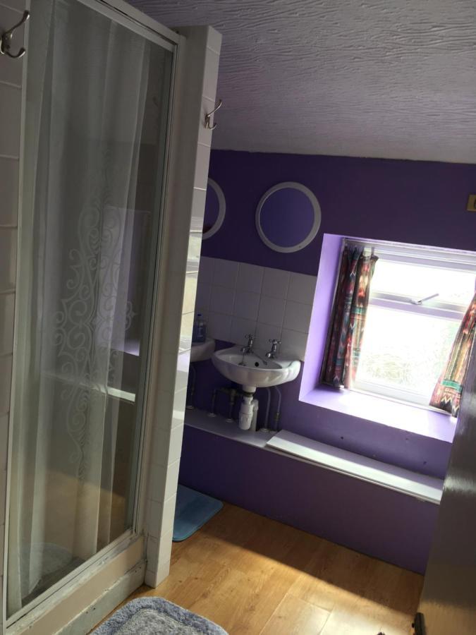 Pantyrathro International Hostel Carmarthen Bagian luar foto